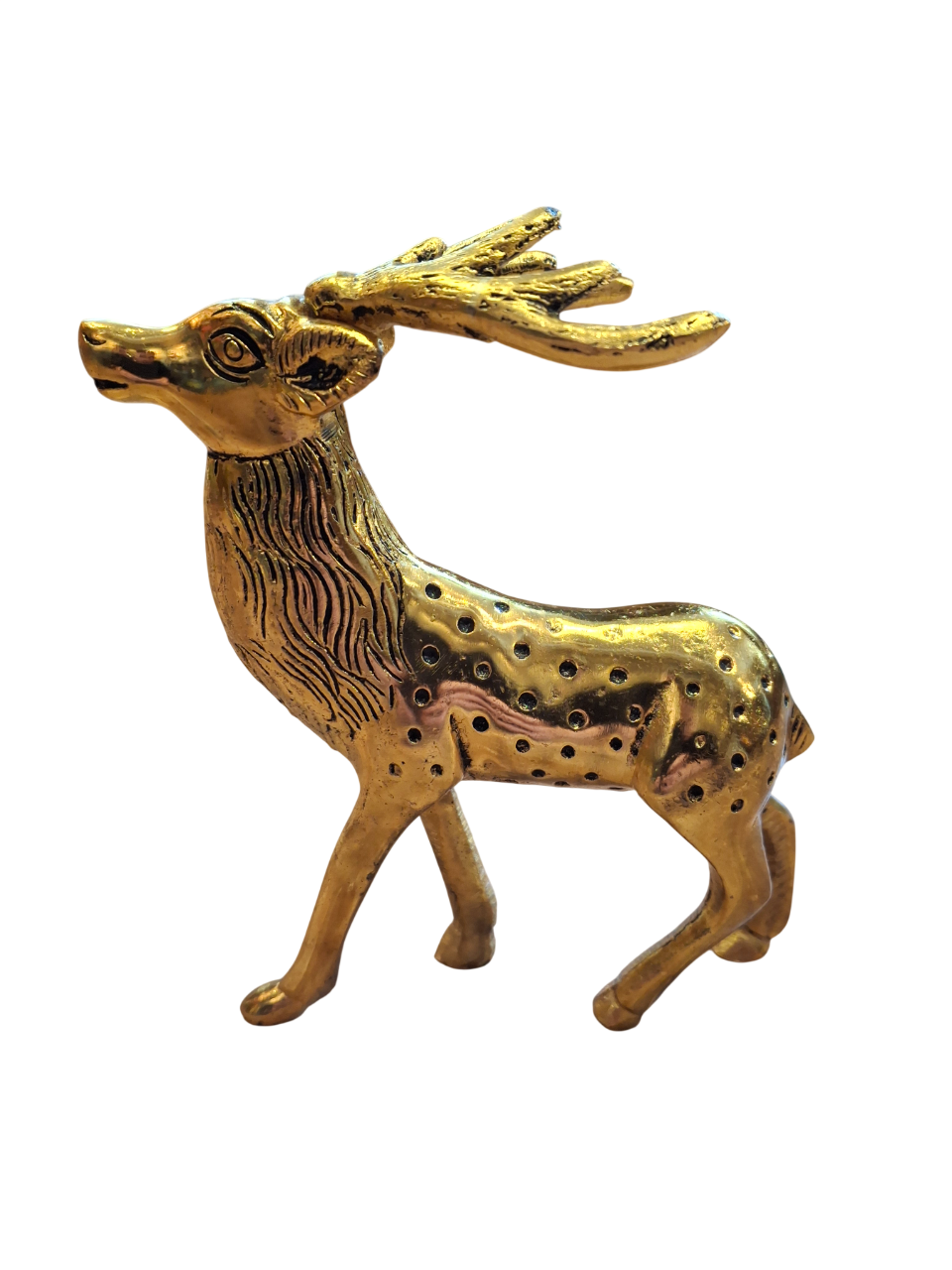 20260207_125331-Photoroom Elnias - Image 1