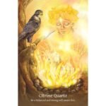 Shamanic Crystals Oracle kortos - Image 4