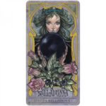 Lady Stirling's Wicked Garden orakulo kortų ir knygos rinkinys - Image 12