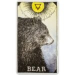 The Wild Unknown Animal Spirit Oracle kortų ir knygos rinkinys - Image 8