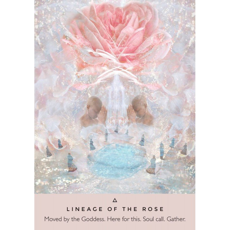 8mK6tipXpN-rose-oracle-cards-deck-6-750x750 Rose Oracle kortos (angl.) - Image 4