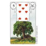 Blue Owl Lenormand Kortos - Image 3