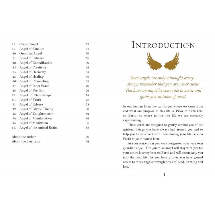 C08WCVVR1W-Angel Oracle-3-750x750 Angel orakulo kortos - Image 12