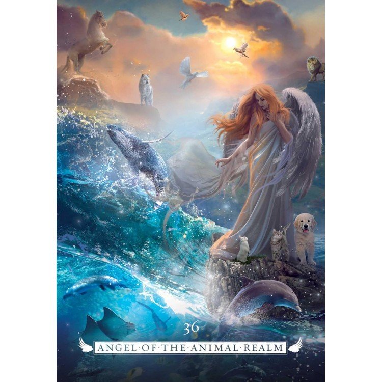 DX7aPfjzyC-Angel Oracle-13-750x750 Angel orakulo kortos - Image 2