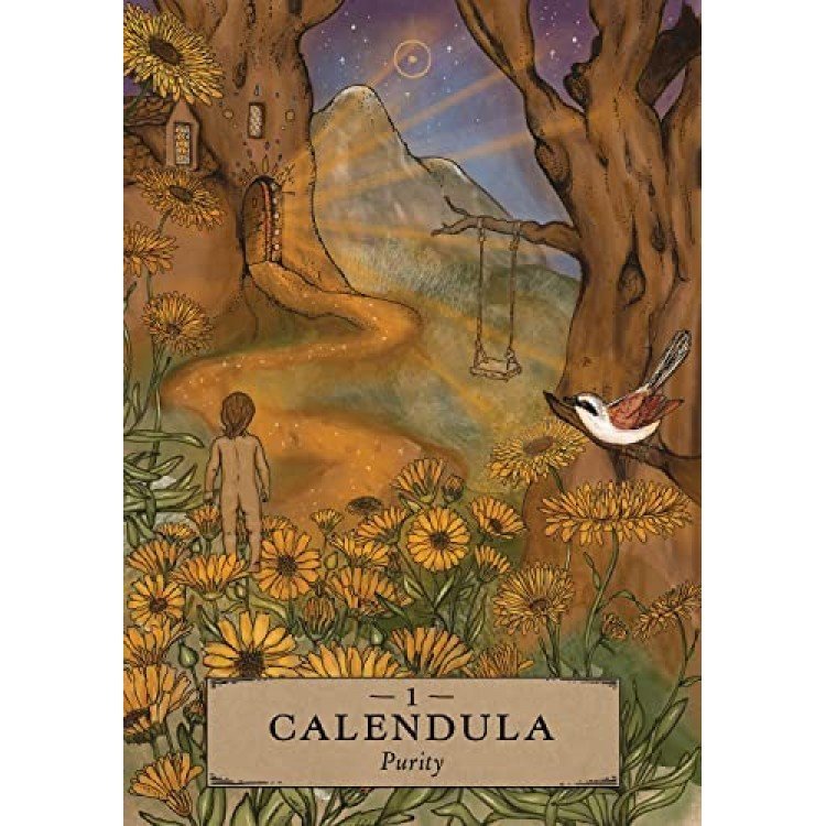 DZWVMZpNYk-51Es2euFkqL-750x750 Herbal Astrology Oracle kortos - Image 4