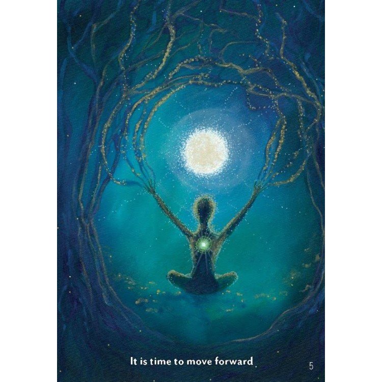 FBLRcX8Cjl-61efTAl1NXL-750x750 Healing Spirits Oracle kortos - Image 7