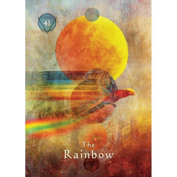 HOGmYJI0ah-mystical-shaman-pocket-oracle-cards-hay-house-6-750x750 Mystical Shaman Oracle kortos dėžutėje - Image 7