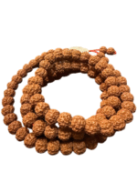 Rudrakšos sėklų mala