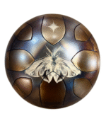 "Nest Drum" Mėnulio būgnas