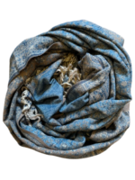 Šalis