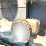 Agato žvakidė - Image 4