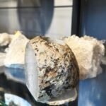 Agato žvakidė - Image 3