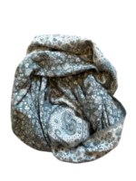 Šalis