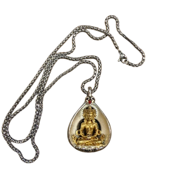 IMG_3533-Photoroom Amitajus - Image 1