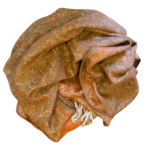 Šalis