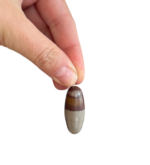 Šiva Lingam švytuoklė