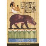 Egyptian Sacred Animals Oracle - Image 2