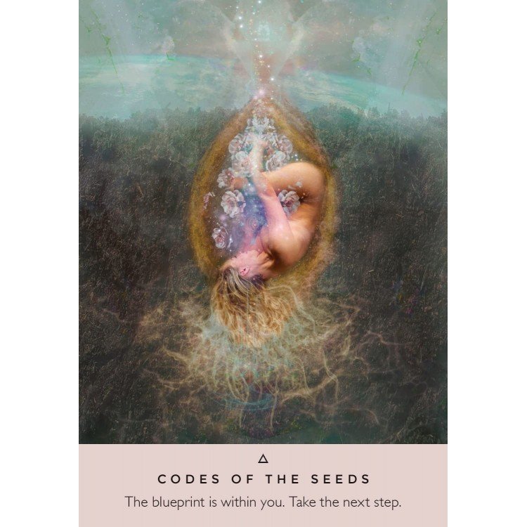 VBagUirv2X-rose-oracle-cards-deck-8-750x750 Rose Oracle kortos (angl.) - Image 2