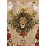 Herbal Astrology Oracle kortos - Image 5