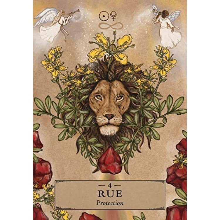 WSjUggul3O-51E93SYTxBL-750x750 Herbal Astrology Oracle kortos - Image 5