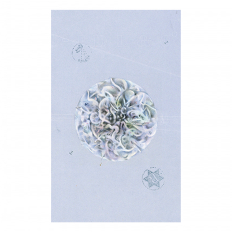 aXbpksMlv1-TDJgz-750x750 The Archeo Personal Archetype Oracle kortos - Image 3