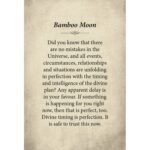 Kuan Yin Oracle pocket edition kortos kišeninis leidimas - Image 10