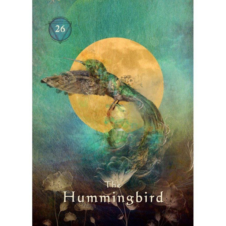 ggEuLotcI0-mystical-shaman-pocket-oracle-cards-hay-house-3-750x750 Mystical Shaman Oracle kortos dėžutėje - Image 4