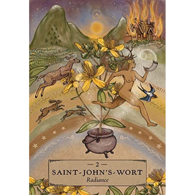 lArmyjzCw5-51aMpwdZRCL-750x750 Herbal Astrology Oracle kortos - Image 6