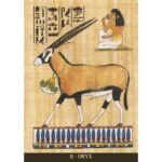 Egyptian Sacred Animals Oracle - Image 4
