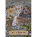 Herbal Astrology Oracle kortos - Image 3