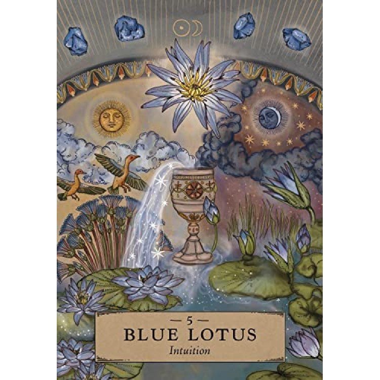 q7YwcsNinD-51JDnRPYH6L-750x750 Herbal Astrology Oracle kortos - Image 3