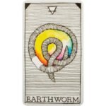 The Wild Unknown Animal Spirit Oracle kortų ir knygos rinkinys - Image 9