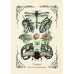 Green Witch's Oracle kortos - Image 4