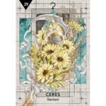 Starcodes Astro Oracle kortos (išankstinis užsakymas) - Image 4